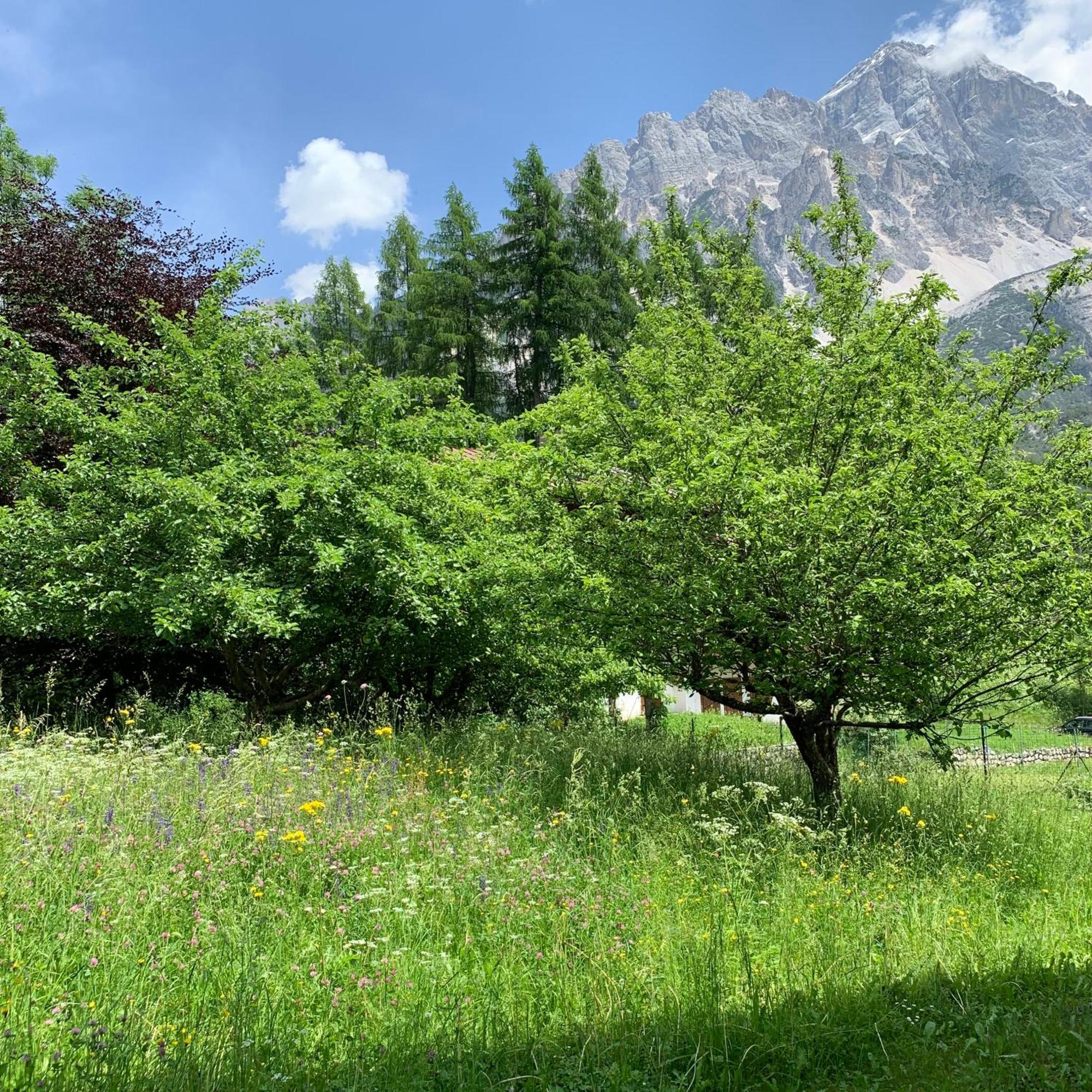 Piccolo Gioiello Di Montagna Apartment Villanova  Екстериор снимка
